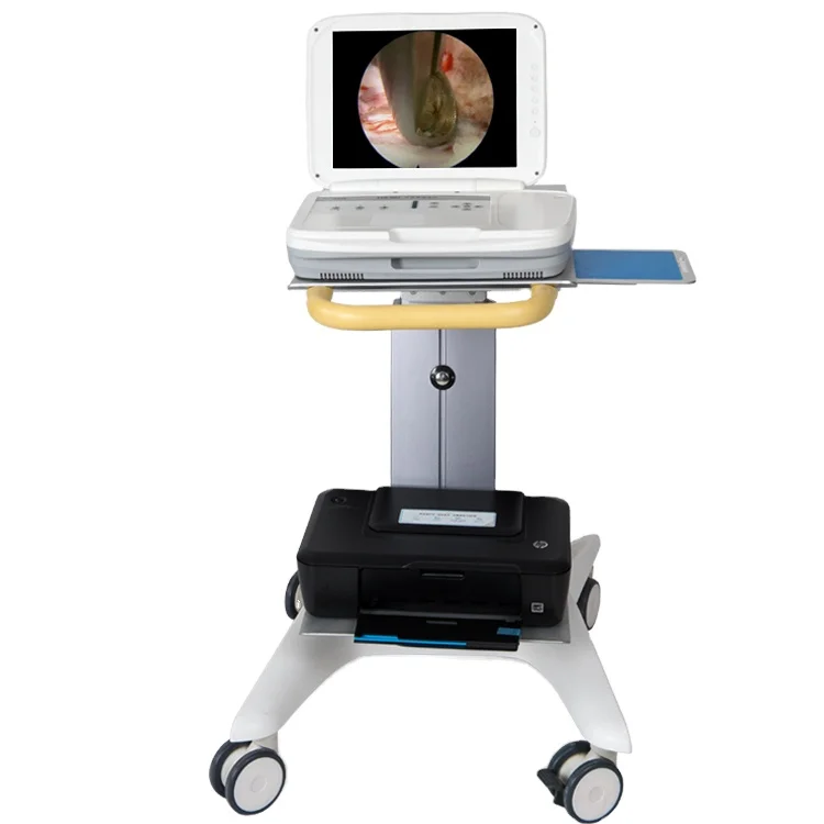 Medical Lab Diagnostics - YKD-9003 Vollständiges HD-Integriertes Tragbares Endoskopie-System für